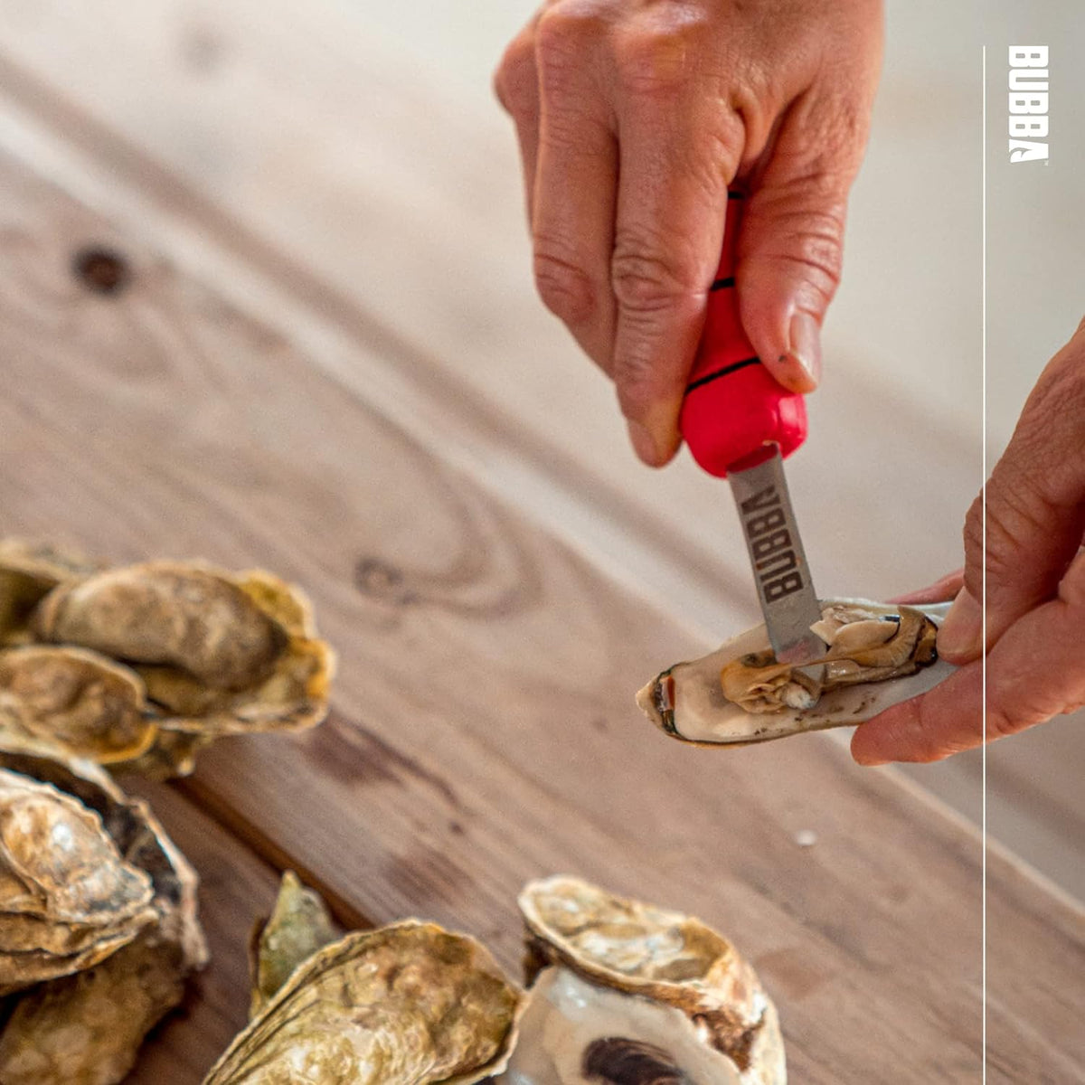 Shucking Knife - Oyster Shucking Knife with 2.5" Stainless Steel Curved Tip Blade with Non-Slip Grip Handle