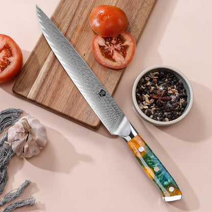 Carving Knife, 9 inch Slicing Knife, brisket knife & BBQ Knife, Forged from Japanese Damascus Super Steel meat carving knife, Full Tang Resin handle with Gift Box