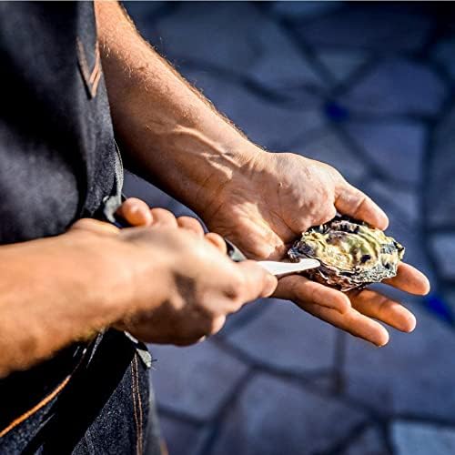 Oyster Shucking Knife - 3.5” Heavy Duty 420 Stainless Steel Shucker for Clams & Shellfish - Non-Slip Ergonomic Handle Seafood Tool for Beginners, 1-Pack