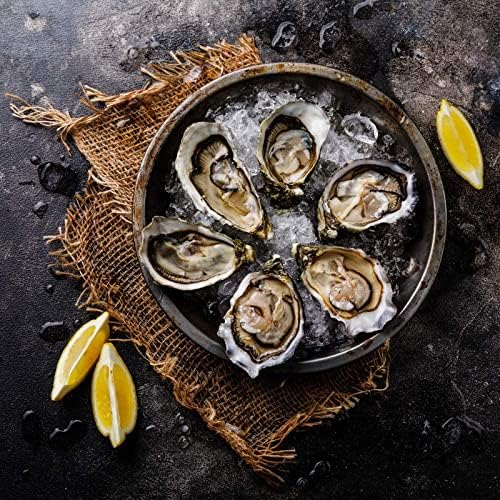 Oyster Shucking Knife - 3.5” Heavy Duty 420 Stainless Steel Shucker for Clams & Shellfish - Non-Slip Ergonomic Handle Seafood Tool for Beginners, 1-Pack