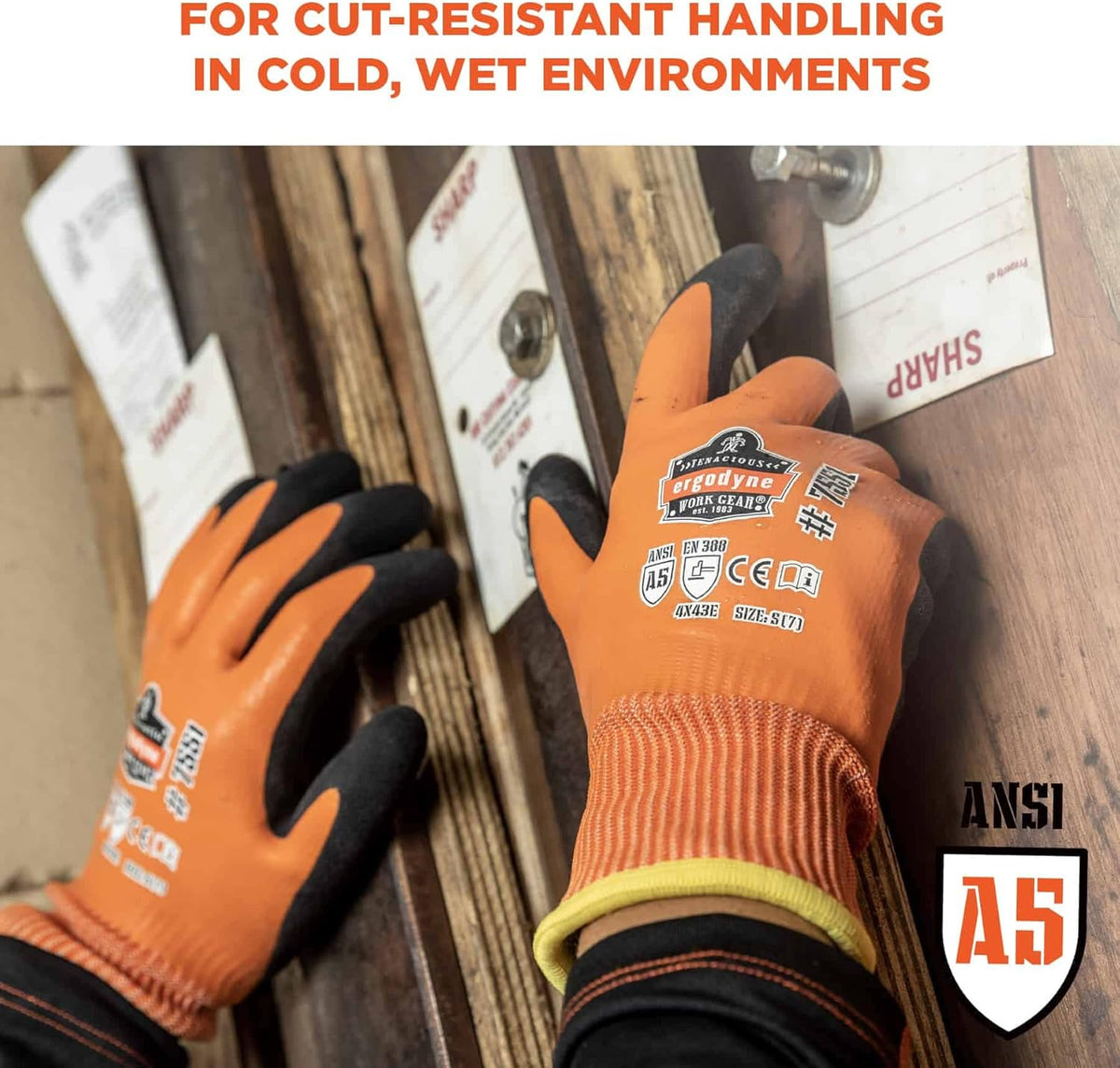 Unisex Proflex 7551 Coated Cut-resistant Winter Work Gloves - Ansi/Isea 105-2016 A5, En 388: 3x43e, Waterproof