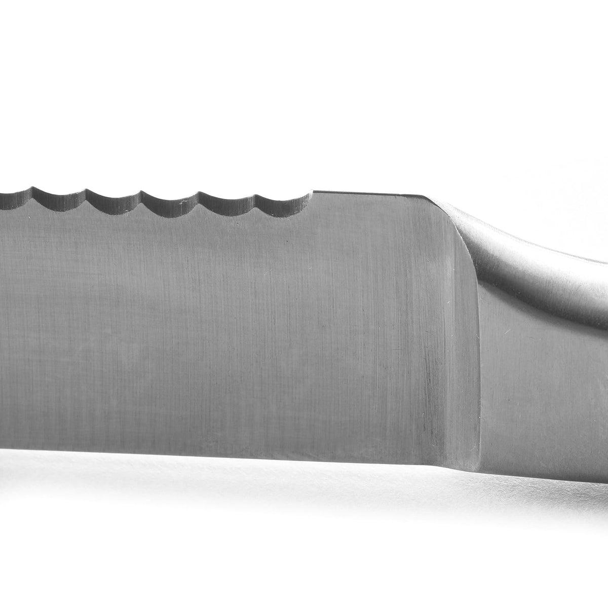 Stainless Steel 5-Inch Serrated Utility Tomato Knife