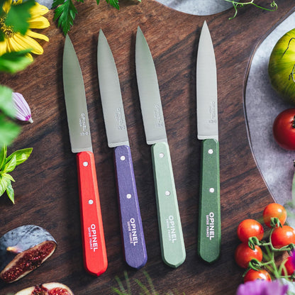 No. 112 Paring Knives Box Set, 4 Piece Paring Knife Set, High Carbon Steel for Chopping, Peeling, Slicing, Trimming, Painted Hornbeam Handles, Made in France (Classic), One Size, (001233)