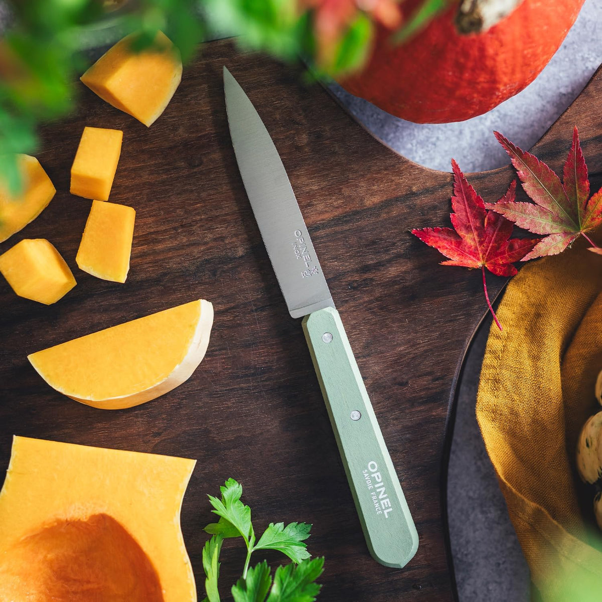 No. 112 Paring Knives Box Set, 4 Piece Paring Knife Set, High Carbon Steel for Chopping, Peeling, Slicing, Trimming, Painted Hornbeam Handles, Made in France (Classic), One Size, (001233)