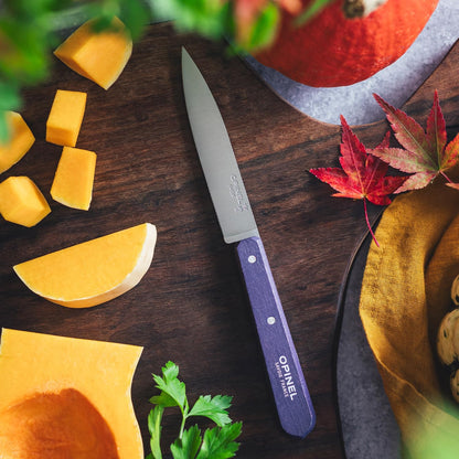 No. 112 Paring Knives Box Set, 4 Piece Paring Knife Set, High Carbon Steel for Chopping, Peeling, Slicing, Trimming, Painted Hornbeam Handles, Made in France (Classic), One Size, (001233)
