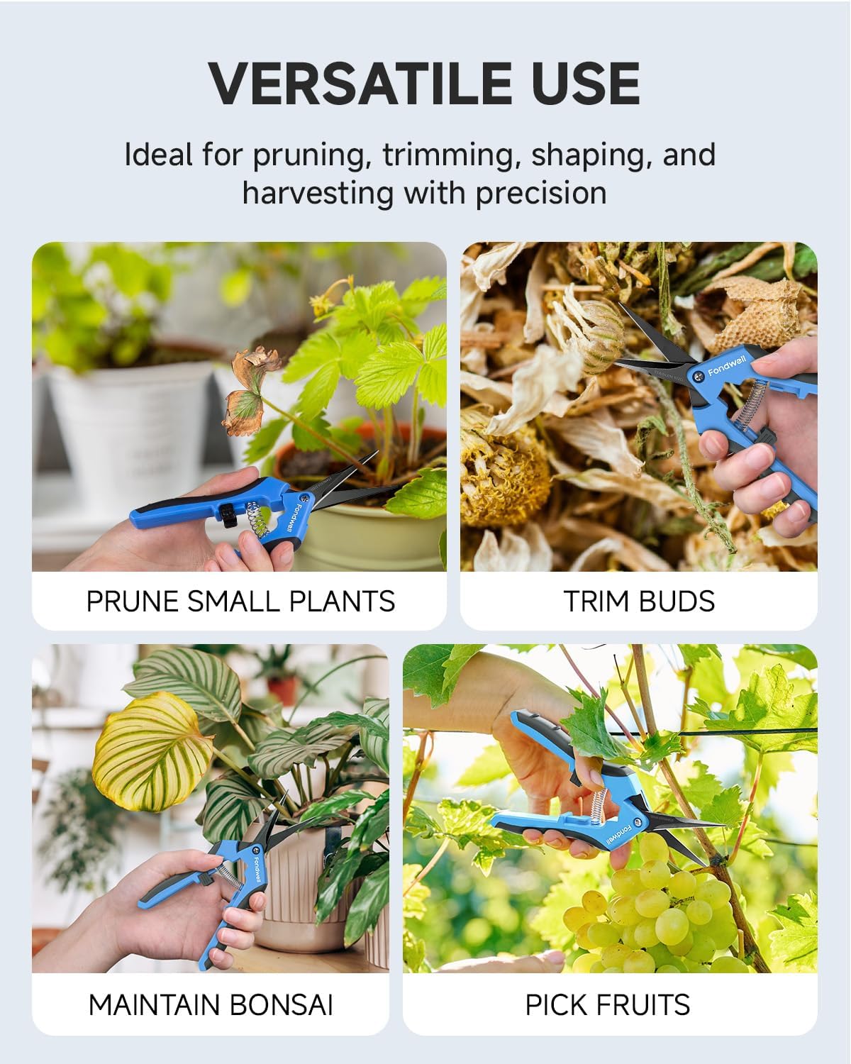 6.5" Precision Pruning Shears for Gardening Bud Trimming Scissors | 1-Pack Garden Snips, Ultra-Sharp Non-Stick Straight Blades, Fatigue-Free - Best for Delicate Cutting Flower Stems Herbs Buds