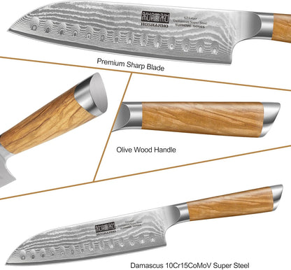 Damascus Kitchen Knife Set, Sharp Chef/Santoku/Fruit Knives