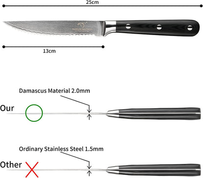 Damascus Steak Knives Set of 8 with Knife Block, 5 Inch Serrated Kitchen Dinner Steak Knife Set, Full Tang Non-slip ABS Ergonomic Triple Rivet Handle for Gift, Natural Wooden Block