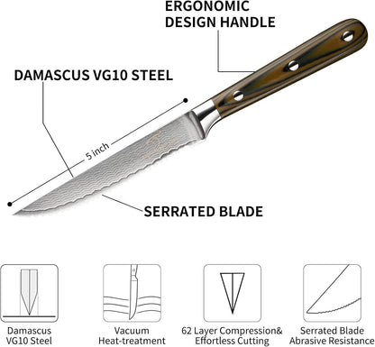 Damascus Steak Knives Set of 8 with Knife Block, 5 Inch Serrated Kitchen Dinner Steak Knife Set, Full Tang Non-slip ABS Ergonomic Triple Rivet Handle for Gift, Natural Wooden Block