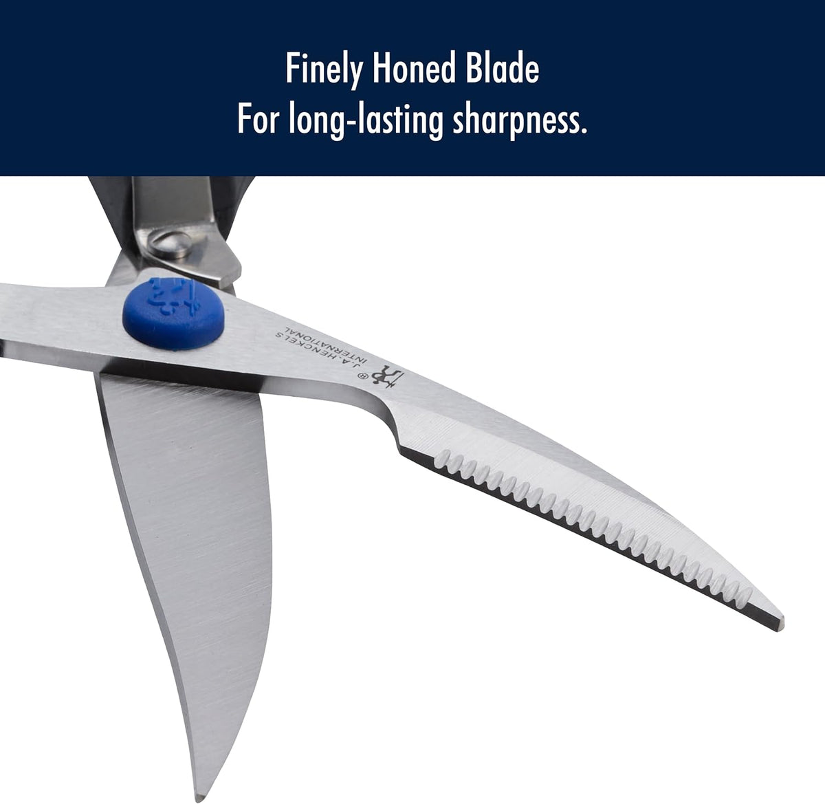 Heavy-Duty Take-Apart 8-in Stainless Kitchen Shears