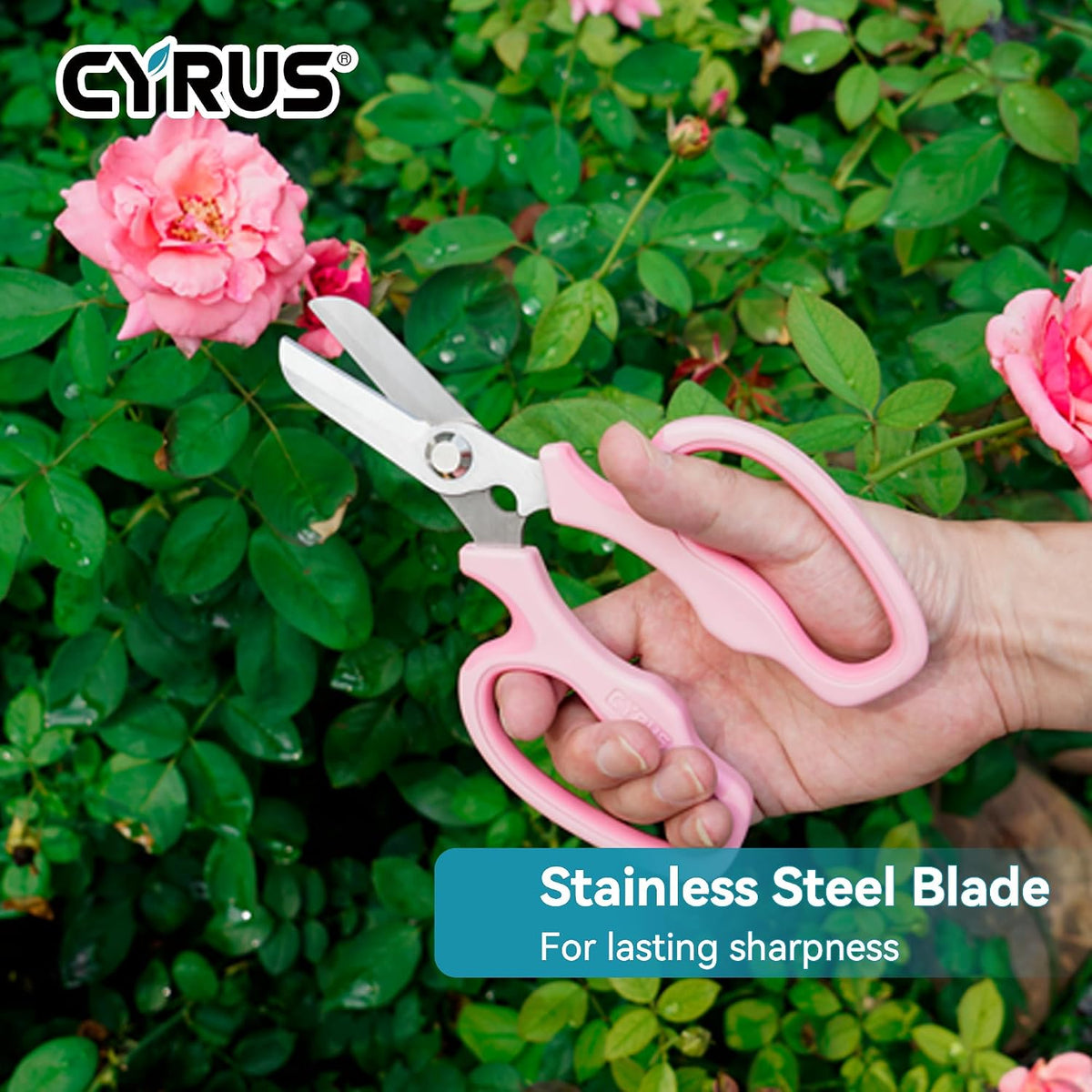 Blue Stainless Steel Floral Shears with Integrated Stab Remover | Sharp Smooth Blades Flower Scissors, Soft Anti-Slip Grips Rose Snips, Perfect For Floral Design And Daily Rose Pruning Work
