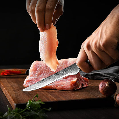 Fanteck 9.5" Kiritsuke Chef Knife,Kitchen Knife Damascus Pro Sharp VG10 High Carbon Stainless Steel 67-Layer Meat Sushi Fruit Cutting Chef Knife[Gift Box & Plastic Cover]Ergonomic Pakkawood Handle