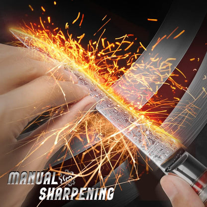 Fanteck 9.5" Kiritsuke Chef Knife,Kitchen Knife Damascus Pro Sharp VG10 High Carbon Stainless Steel 67-Layer Meat Sushi Fruit Cutting Chef Knife[Gift Box & Plastic Cover]Ergonomic Pakkawood Handle