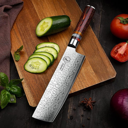 Fanteck 9.5" Kiritsuke Chef Knife,Kitchen Knife Damascus Pro Sharp VG10 High Carbon Stainless Steel 67-Layer Meat Sushi Fruit Cutting Chef Knife[Gift Box & Plastic Cover]Ergonomic Pakkawood Handle