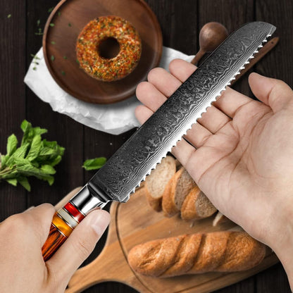 Fanteck 9.5" Kiritsuke Chef Knife,Kitchen Knife Damascus Pro Sharp VG10 High Carbon Stainless Steel 67-Layer Meat Sushi Fruit Cutting Chef Knife[Gift Box & Plastic Cover]Ergonomic Pakkawood Handle