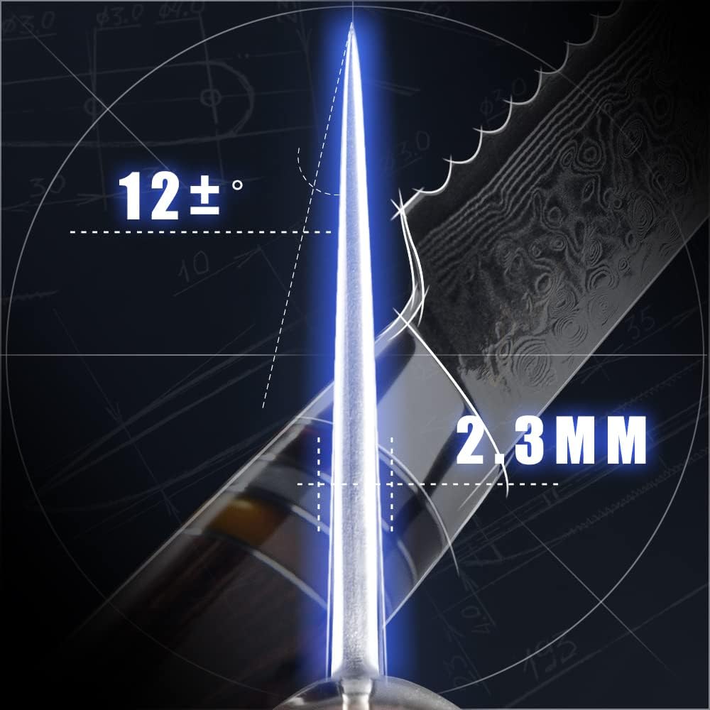 Fanteck 9.5" Kiritsuke Chef Knife,Kitchen Knife Damascus Pro Sharp VG10 High Carbon Stainless Steel 67-Layer Meat Sushi Fruit Cutting Chef Knife[Gift Box & Plastic Cover]Ergonomic Pakkawood Handle