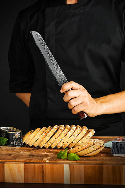 Fanteck 9.5" Kiritsuke Chef Knife,Kitchen Knife Damascus Pro Sharp VG10 High Carbon Stainless Steel 67-Layer Meat Sushi Fruit Cutting Chef Knife[Gift Box & Plastic Cover]Ergonomic Pakkawood Handle