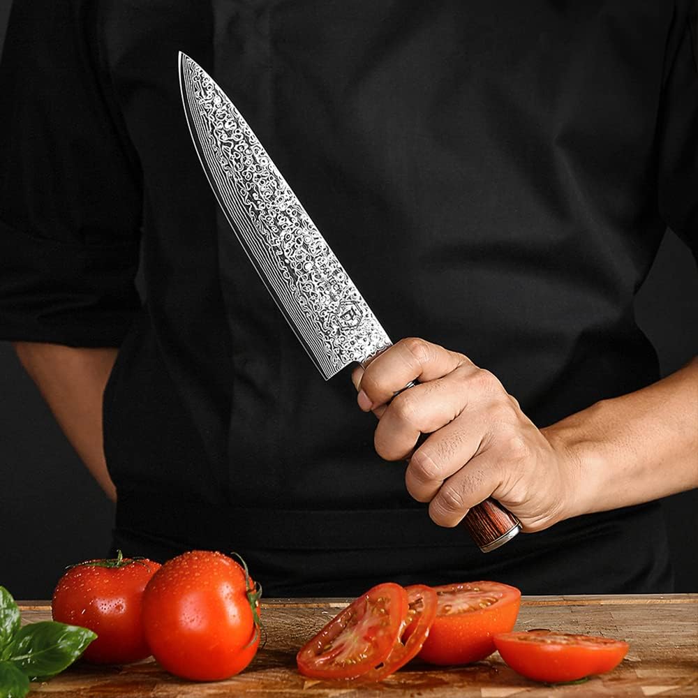 Fanteck 9.5" Kiritsuke Chef Knife,Kitchen Knife Damascus Pro Sharp VG10 High Carbon Stainless Steel 67-Layer Meat Sushi Fruit Cutting Chef Knife[Gift Box & Plastic Cover]Ergonomic Pakkawood Handle
