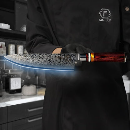 Fanteck 9.5" Kiritsuke Chef Knife,Kitchen Knife Damascus Pro Sharp VG10 High Carbon Stainless Steel 67-Layer Meat Sushi Fruit Cutting Chef Knife[Gift Box & Plastic Cover]Ergonomic Pakkawood Handle