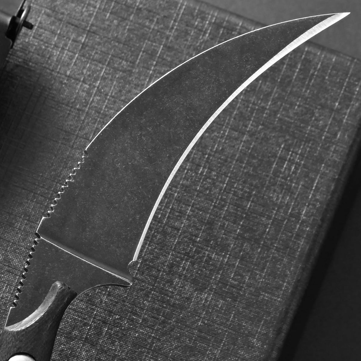 C1150 Fixed Blade Knife D2 Steel Blade G10 Handle Claw Knife for Outdoor EDC Tool Camping Hiking(Silver)