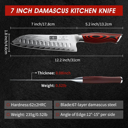 Damascus Chef Knife, 8" Professional Japanese Kitchen Knife & G10