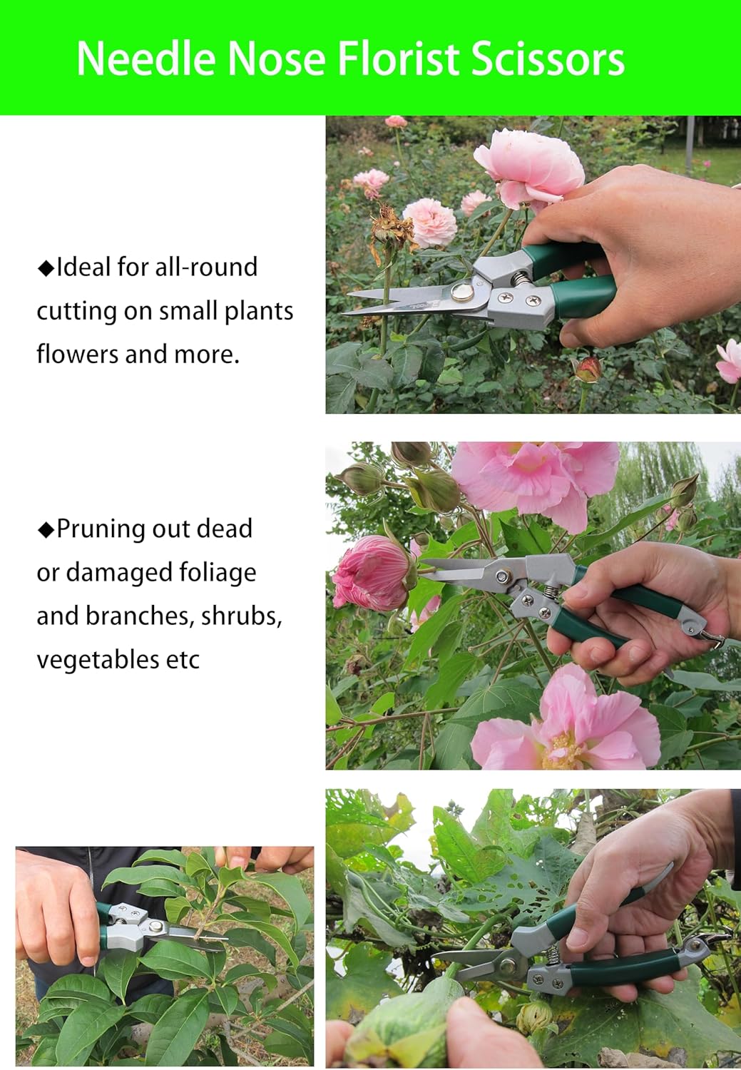 Floral Pruning Shears, Aluminium Handle With Stainless Steel Needle Nose Blade, for Arranging Flowers, Trimming Plants and Harvesting Herbs, Fruits or Vegetables, Florist Scissors 8-Inch (Straight)