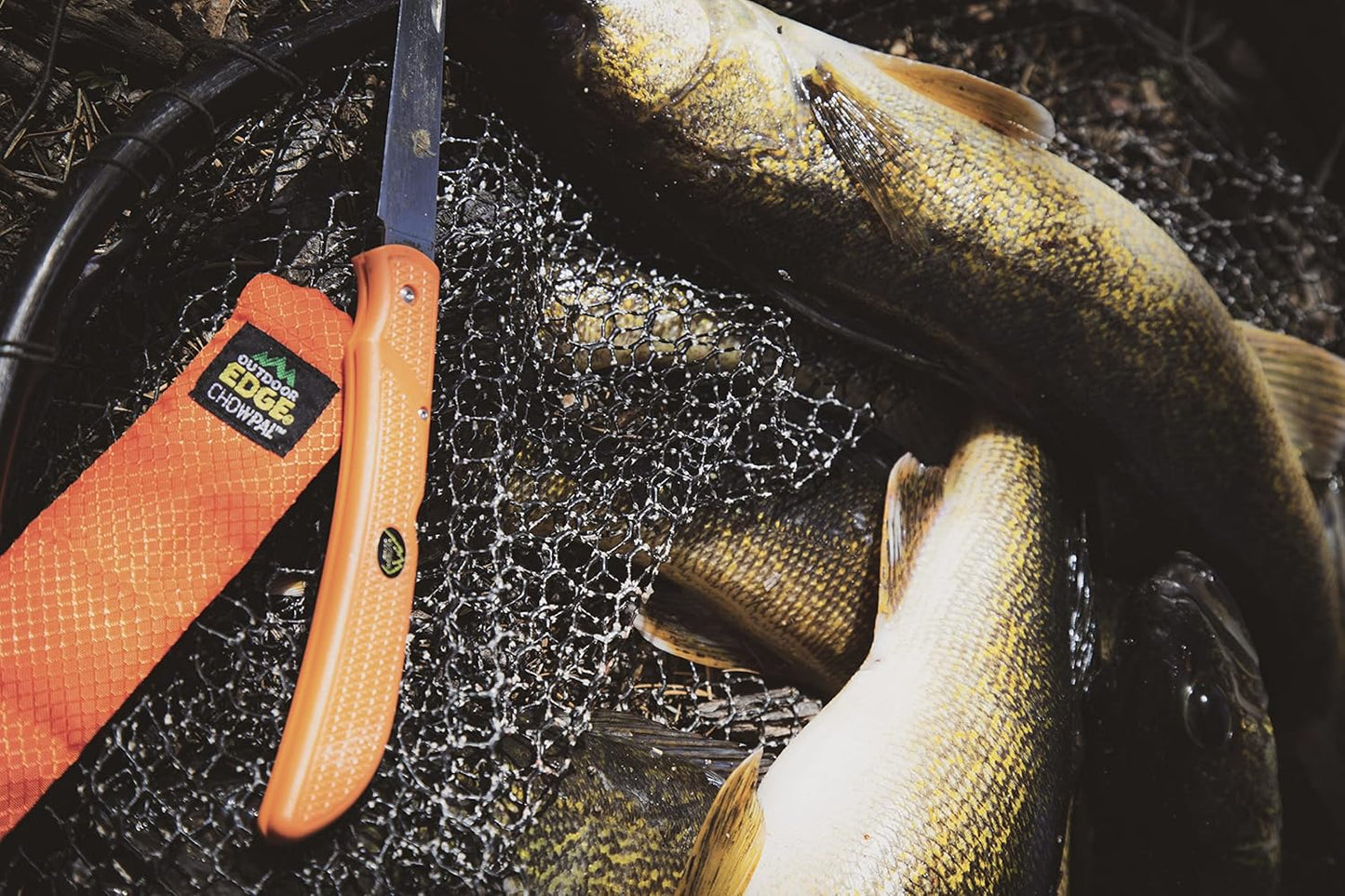 Fish & Bone - Folding Fillet Knife with 5.0" 440A Stainless Steel Blade for Fish and Processing Big Game - Pocket Clip