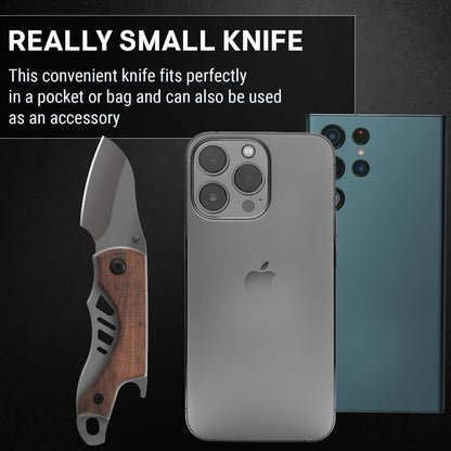 Spring Assisted Heavy Duty Pocket Knife for Men - 3.5" Tanto Sharp Blade - Folding Tactical Japanese Deba Knife with Portable Clip - for Hunting Camping Military Survival Work EDC 6688 BG