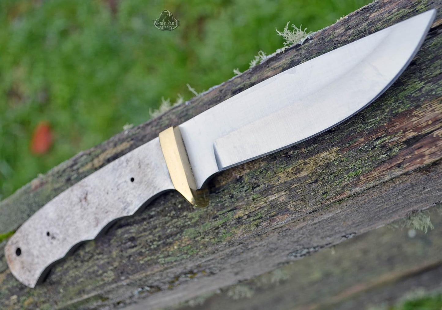 420 Stainless Steel Knife (420 Stainless Steel, Pair of 5.375 inch Bowie Blades)