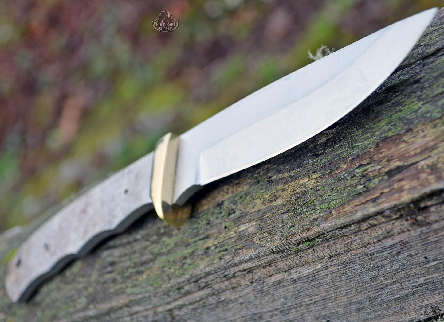 420 Stainless Steel Knife (420 Stainless Steel, Pair of 5.375 inch Bowie Blades)