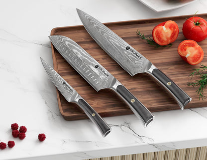 Damascus Chef Knife 3 PCS, VG10 Steel Full Tang Sharp Professional Japanese Chef Knife Set for Kitchen, Ergonomic Pakkawood Handle Damascus Knife Set with Gift Box