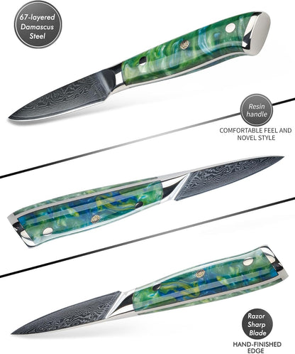 3.5 Inch Paring Knife - Kitchen Fruit Peeling Knife Damascus Steel & Resin Handle - Xuan Series(Sapphire Blue)