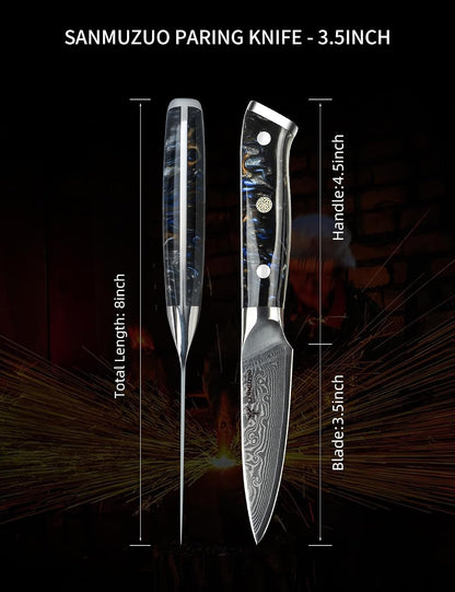 3.5 Inch Paring Knife - Kitchen Fruit Peeling Knife Damascus Steel & Resin Handle - Xuan Series(Sapphire Blue)