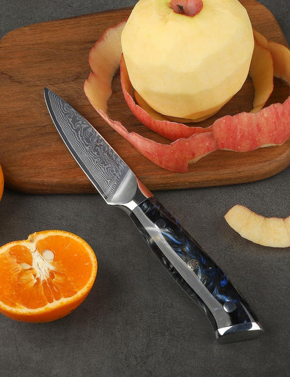 3.5 Inch Paring Knife - Kitchen Fruit Peeling Knife Damascus Steel & Resin Handle - Xuan Series(Sapphire Blue)
