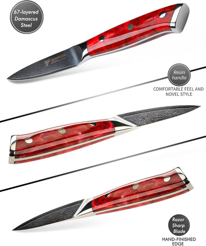 3.5 Inch Paring Knife - Kitchen Fruit Peeling Knife Damascus Steel & Resin Handle - Xuan Series(Sapphire Blue)