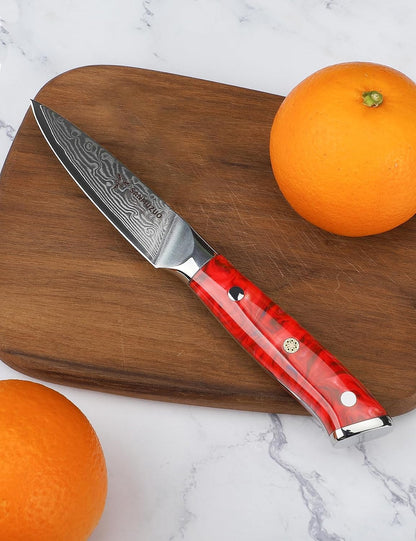 3.5 Inch Paring Knife - Kitchen Fruit Peeling Knife Damascus Steel & Resin Handle - Xuan Series(Sapphire Blue)