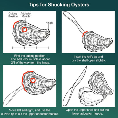 Premium Oyster Shucking Knife, Stainless Steel Oyster Shucker Tool