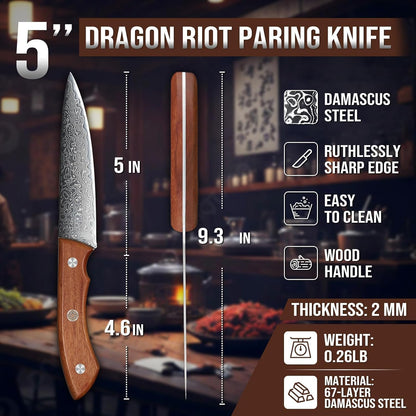 Damascus Paring Knife 5 inch, VG-10 Damascus Steel Fruit Knife, Japanese Peeling Knife with Ergonomic Wood Handle, Multipurpose Kitchen Knife for Cutting Fruit Vegetables