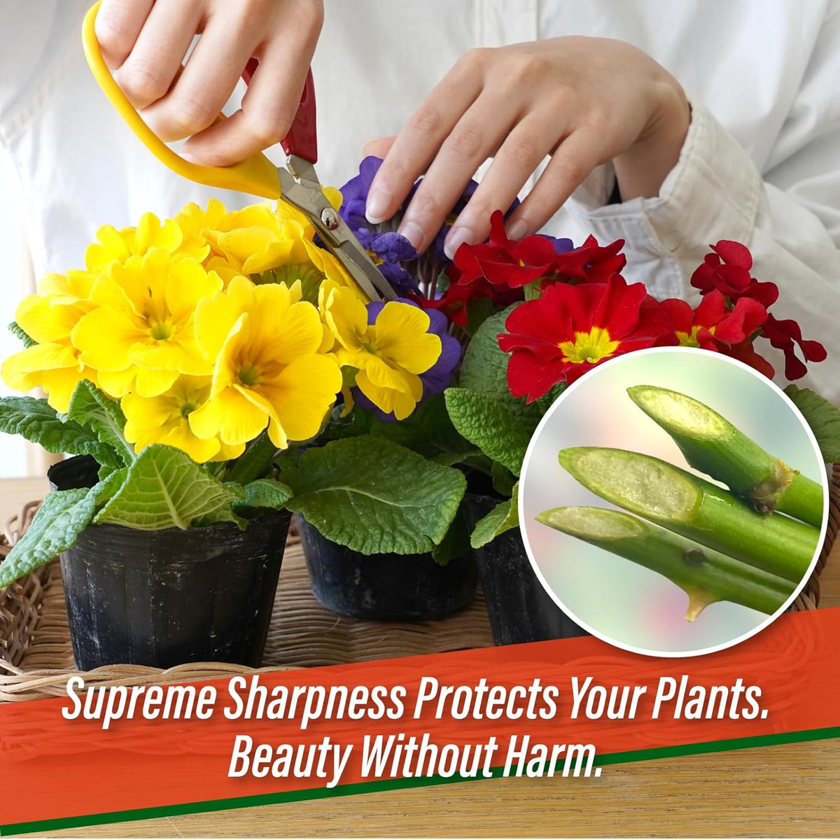 Trimming Scissors 6" - Japanese Garden Plant Herb Buds Flower Shears | Professional Snips for Precise Pruning Vegetables Harvest Deadheading Indoor Hydroponics Bonsai Sharp Blades Gardening Tools