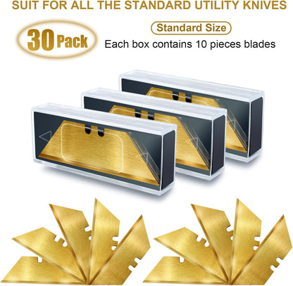 60 Pack Utility Knife Blade VARIETY PACK - Multi-Type SK5 Heavy Duty Blades with Plastic Case - Universal Fit for Standard Box Cutters
