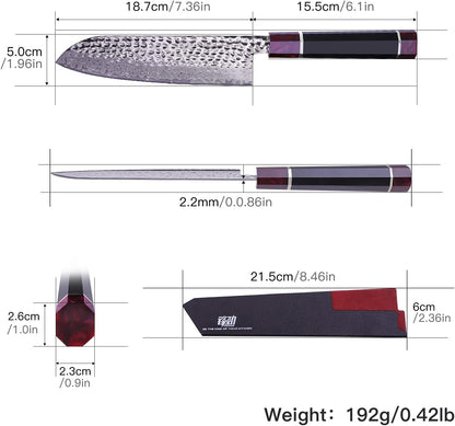 Eternity Series Japanese Santoku Knife with ABS sheath, Professional Kitchen Knife, 9Cr18MoV Damascus Steel Blade, Resin Octagonal Handle, for Meat, Fruits, Vegetables, 7 Inches