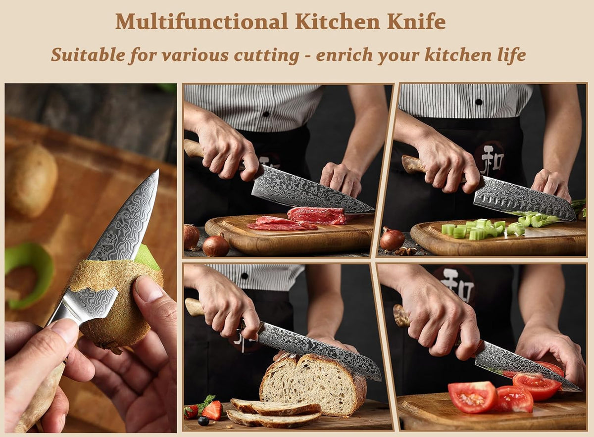 5 inch Utility Knife with Razor Sharp- Damascus Steel with Rose Pattern Multifunctional VG10 Professional Paring-Fruit knife- Master Series Ergonomic Figured Sycamore Wood Handle