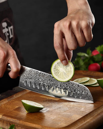 5 inch Utility Knife with Razor Sharp- Damascus Steel with Rose Pattern Multifunctional VG10 Professional Paring-Fruit knife- Master Series Ergonomic Figured Sycamore Wood Handle