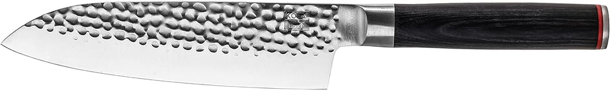 Gyuto 8 inch Chef Kitchen Knife | Ultra Sharp Japanese 440C Stainless Steel | Hammered Tsuchime Finish | Pakkawood Handle | Hidden Full Tang | Pakka Collection Professional Chef Knife