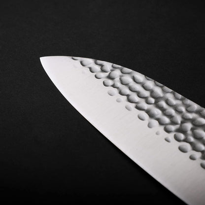 Gyuto 8 inch Chef Kitchen Knife | Ultra Sharp Japanese 440C Stainless Steel | Hammered Tsuchime Finish | Pakkawood Handle | Hidden Full Tang | Pakka Collection Professional Chef Knife