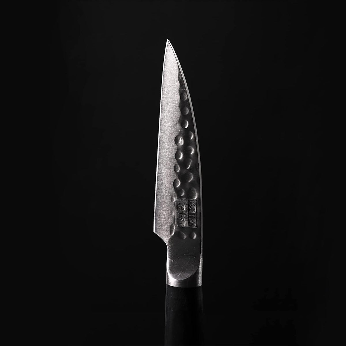 Gyuto 8 inch Chef Kitchen Knife | Ultra Sharp Japanese 440C Stainless Steel | Hammered Tsuchime Finish | Pakkawood Handle | Hidden Full Tang | Pakka Collection Professional Chef Knife
