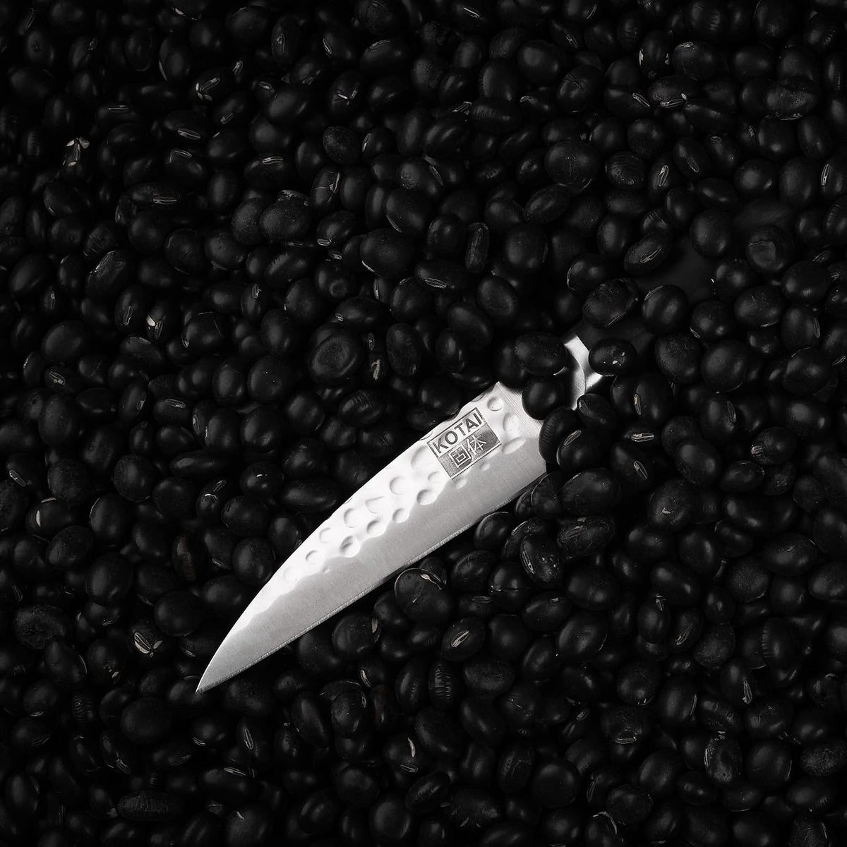 Gyuto 8 inch Chef Kitchen Knife | Ultra Sharp Japanese 440C Stainless Steel | Hammered Tsuchime Finish | Pakkawood Handle | Hidden Full Tang | Pakka Collection Professional Chef Knife