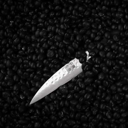 Gyuto 8 inch Chef Kitchen Knife | Ultra Sharp Japanese 440C Stainless Steel | Hammered Tsuchime Finish | Pakkawood Handle | Hidden Full Tang | Pakka Collection Professional Chef Knife