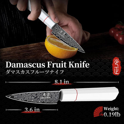 DRGSKL Damascus Fillet Knife 7 Inch - VG10 Razor Sharp Slicing Knife