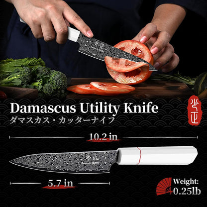 DRGSKL Damascus Fillet Knife 7 Inch - VG10 Razor Sharp Slicing Knife